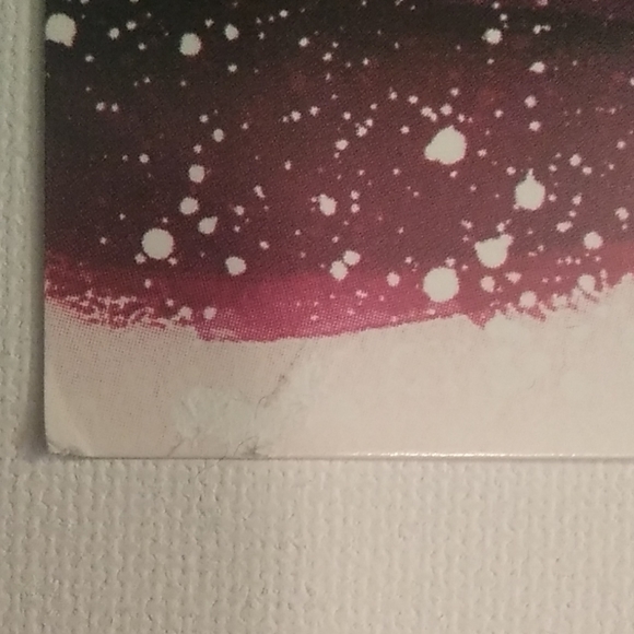 Rare Taylor Swift Speak Now 8x10 - Picture 2 of 7